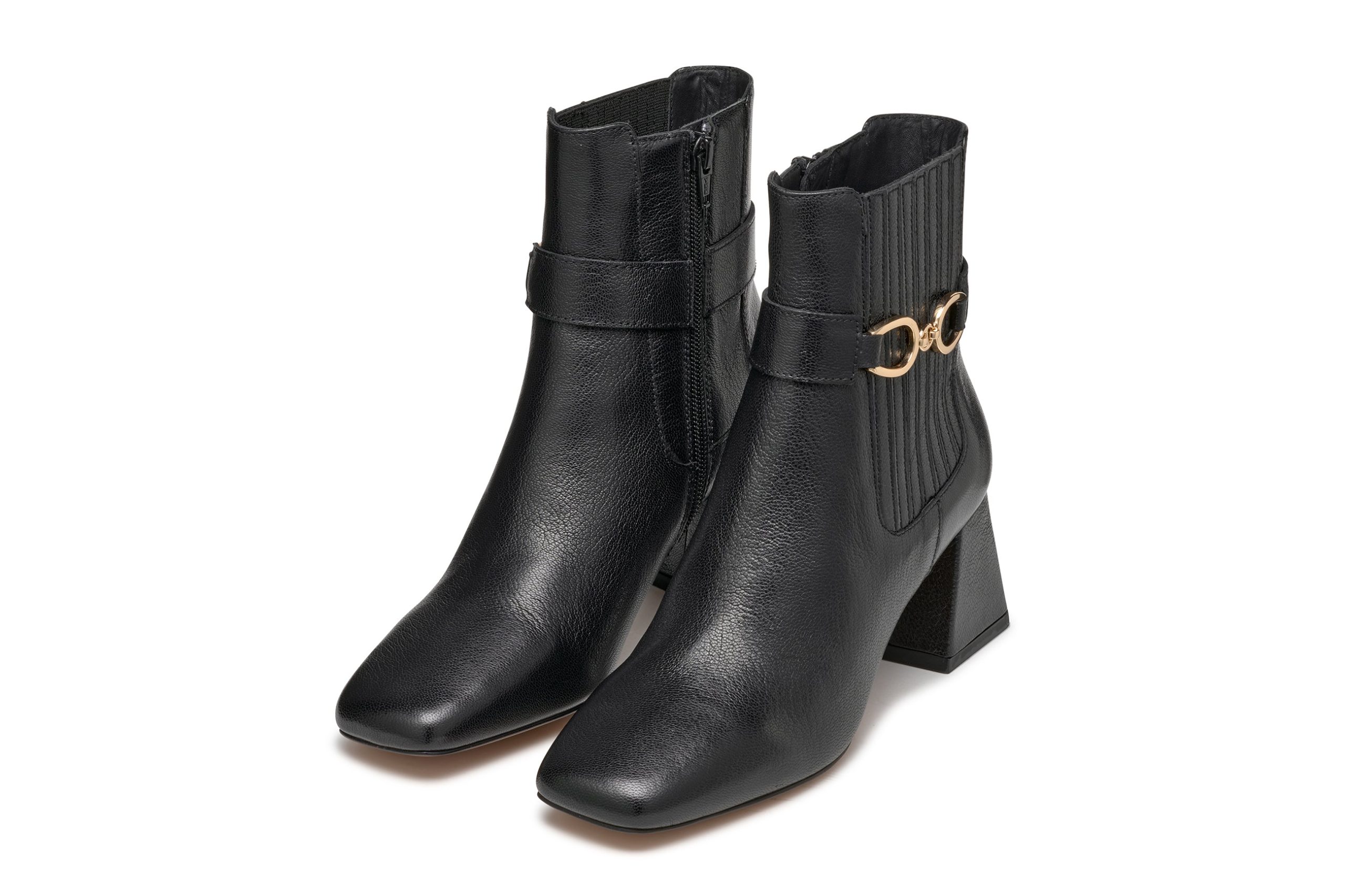 CORONILLA – Image 4