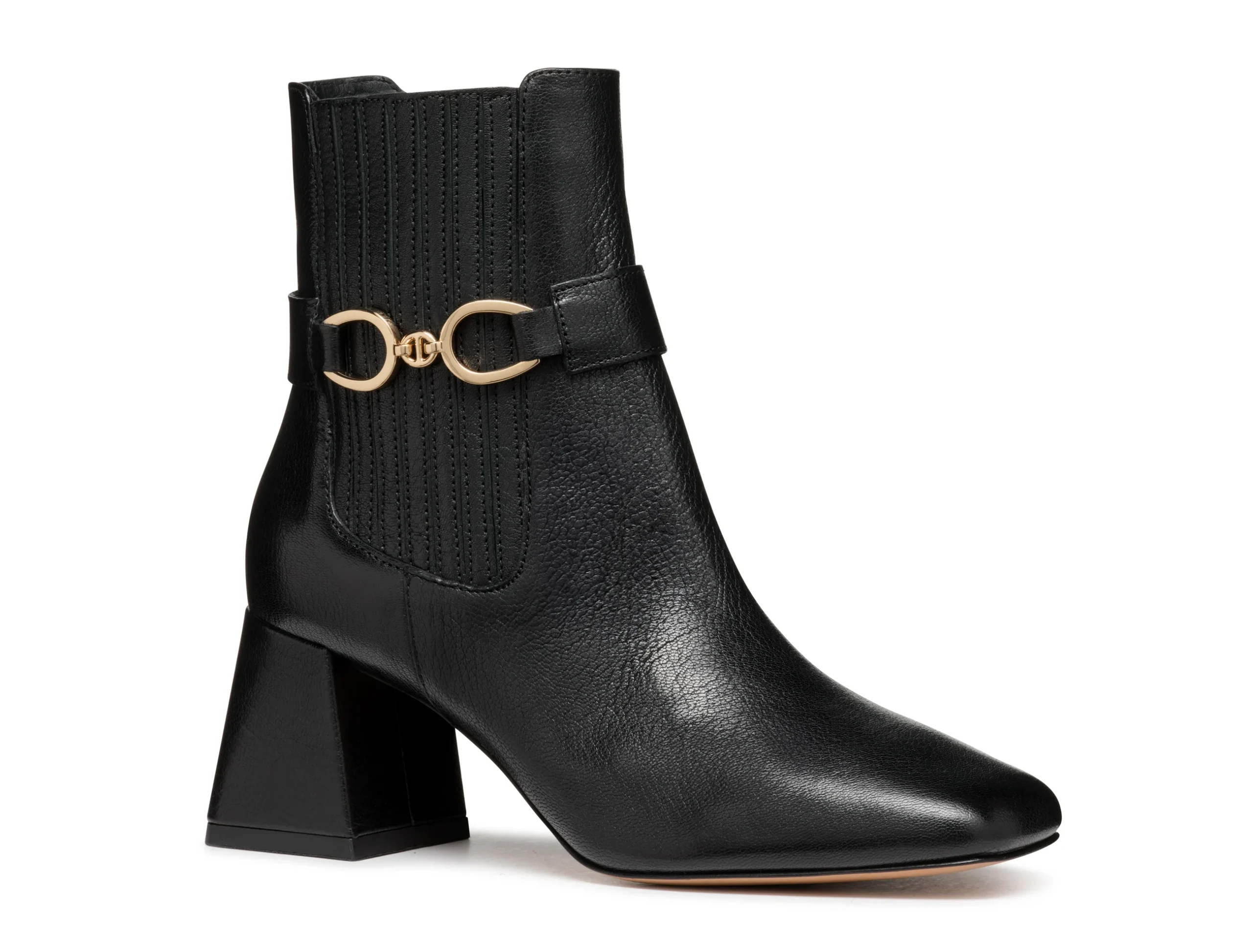 CORONILLA – Image 6