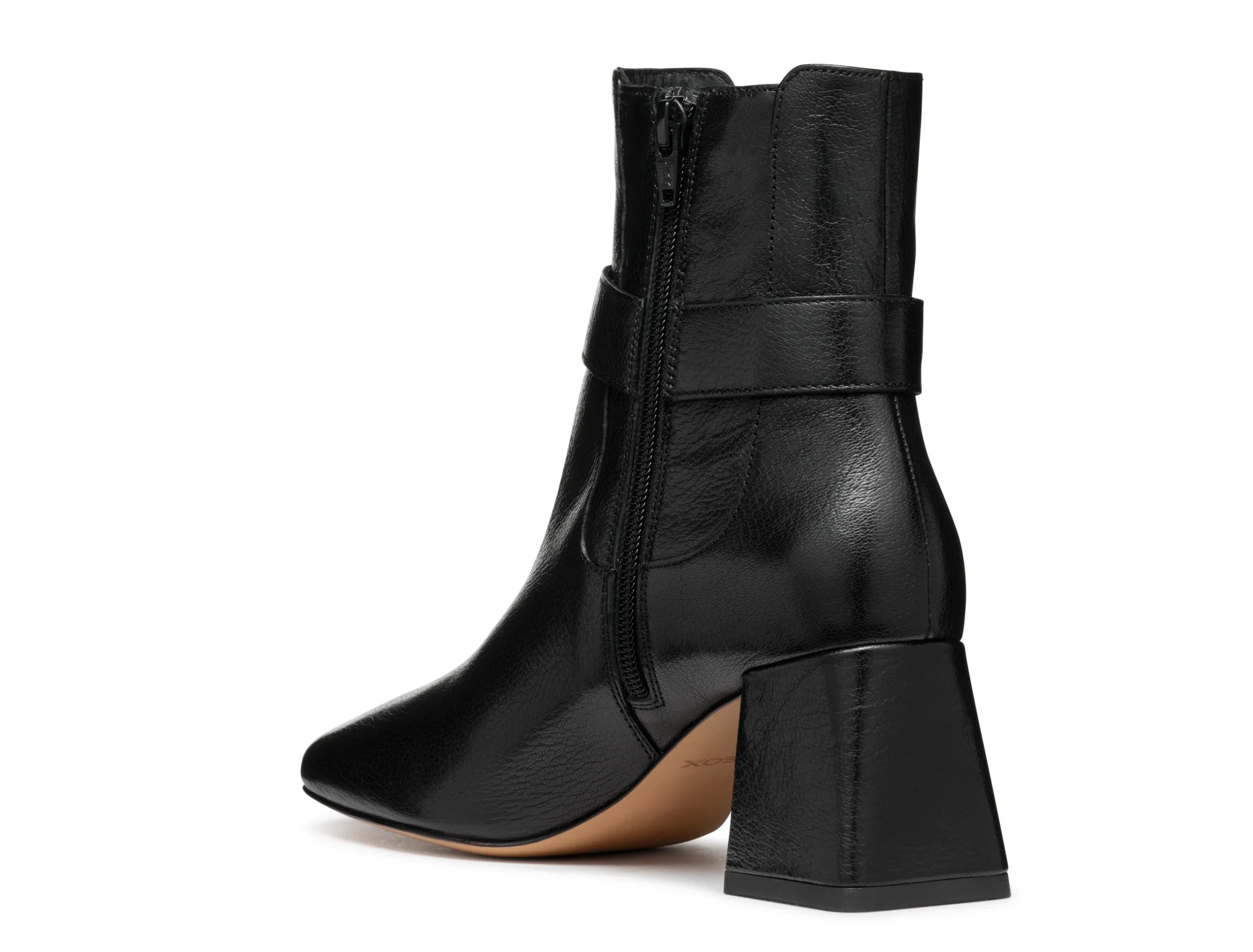 CORONILLA – Image 7