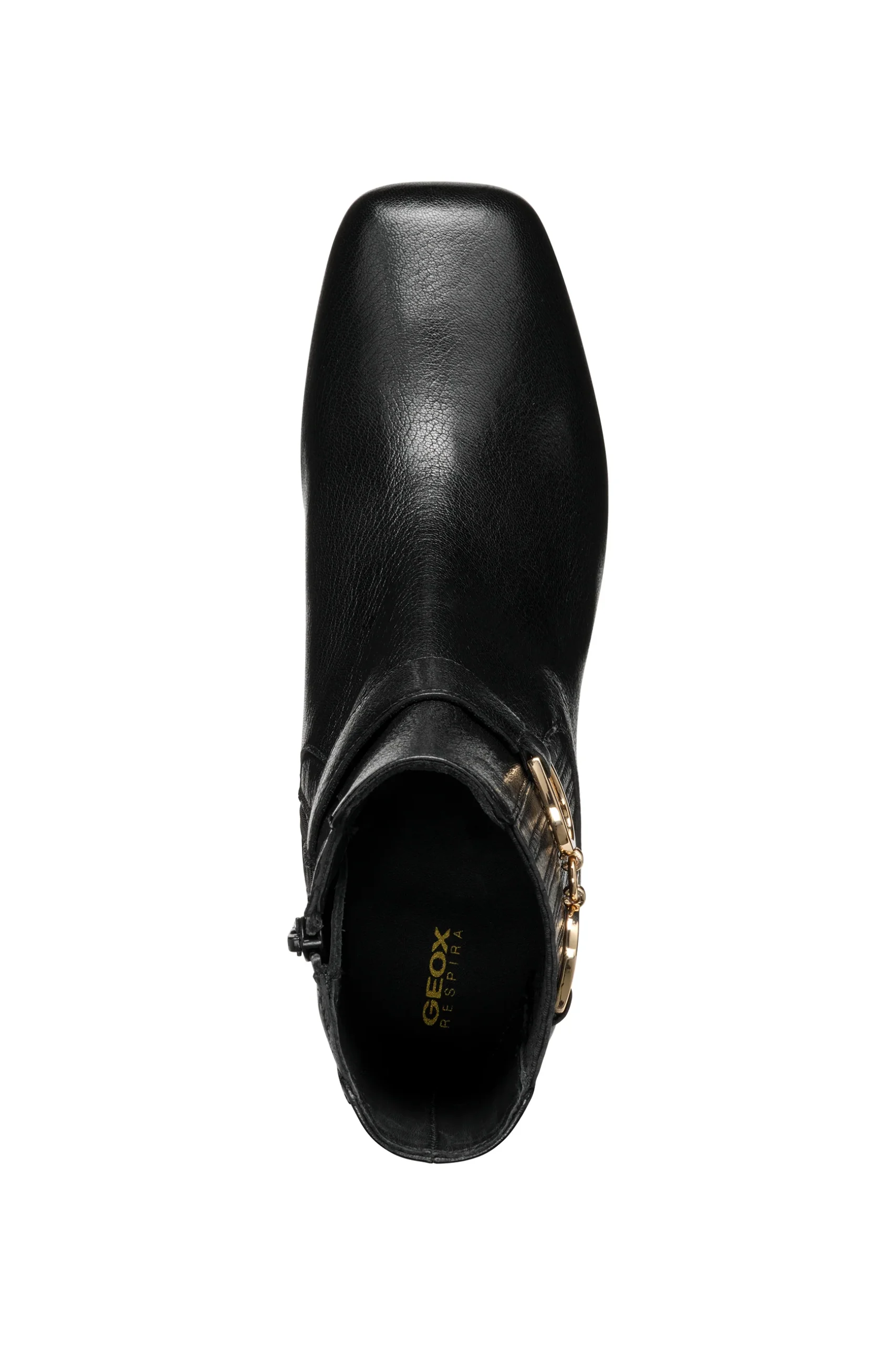 CORONILLA – Image 9