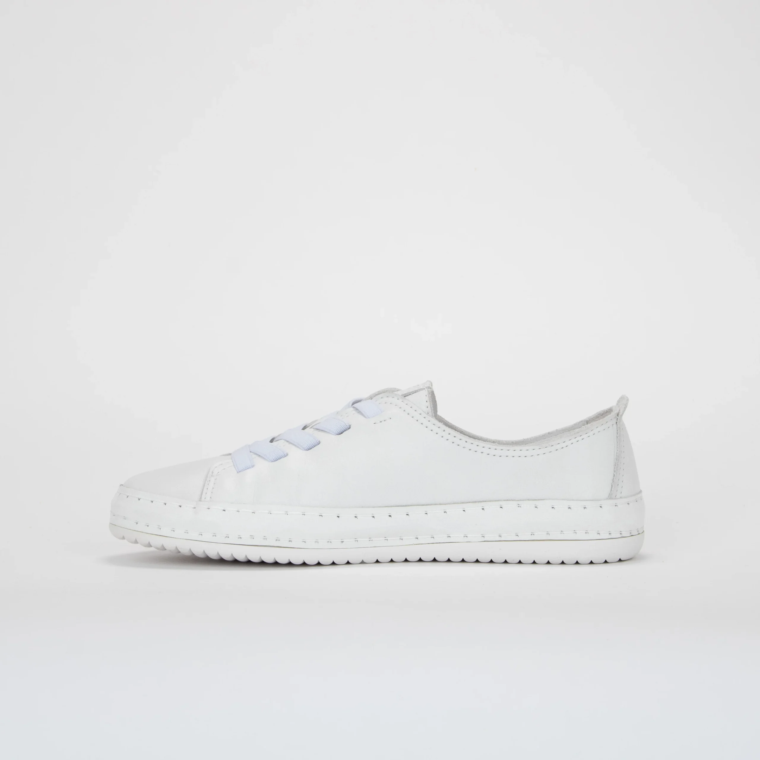 01F/FIDEL – Image 3