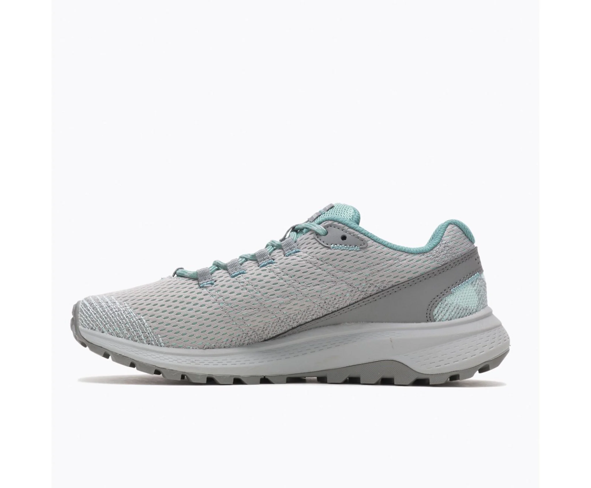 FLY STRIKE – Image 3