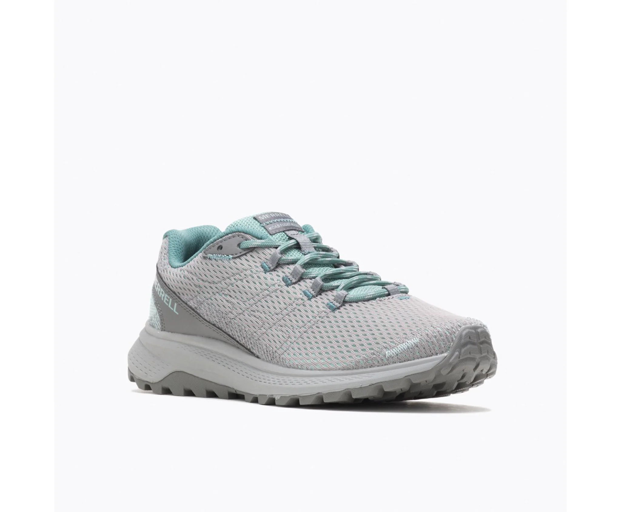 FLY STRIKE – Image 4