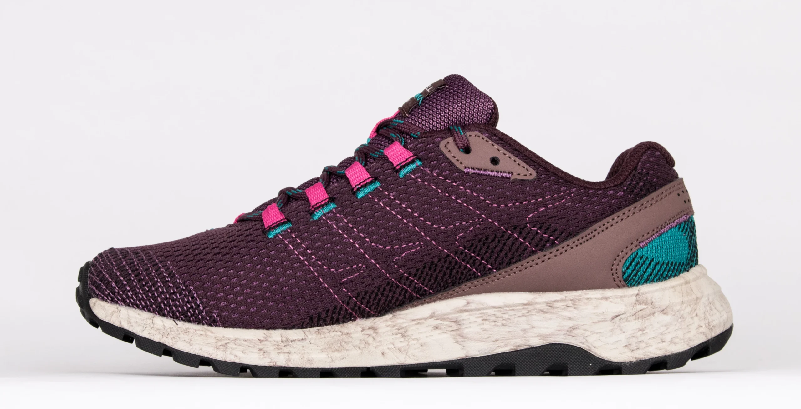 FLY STRIKE – Image 7