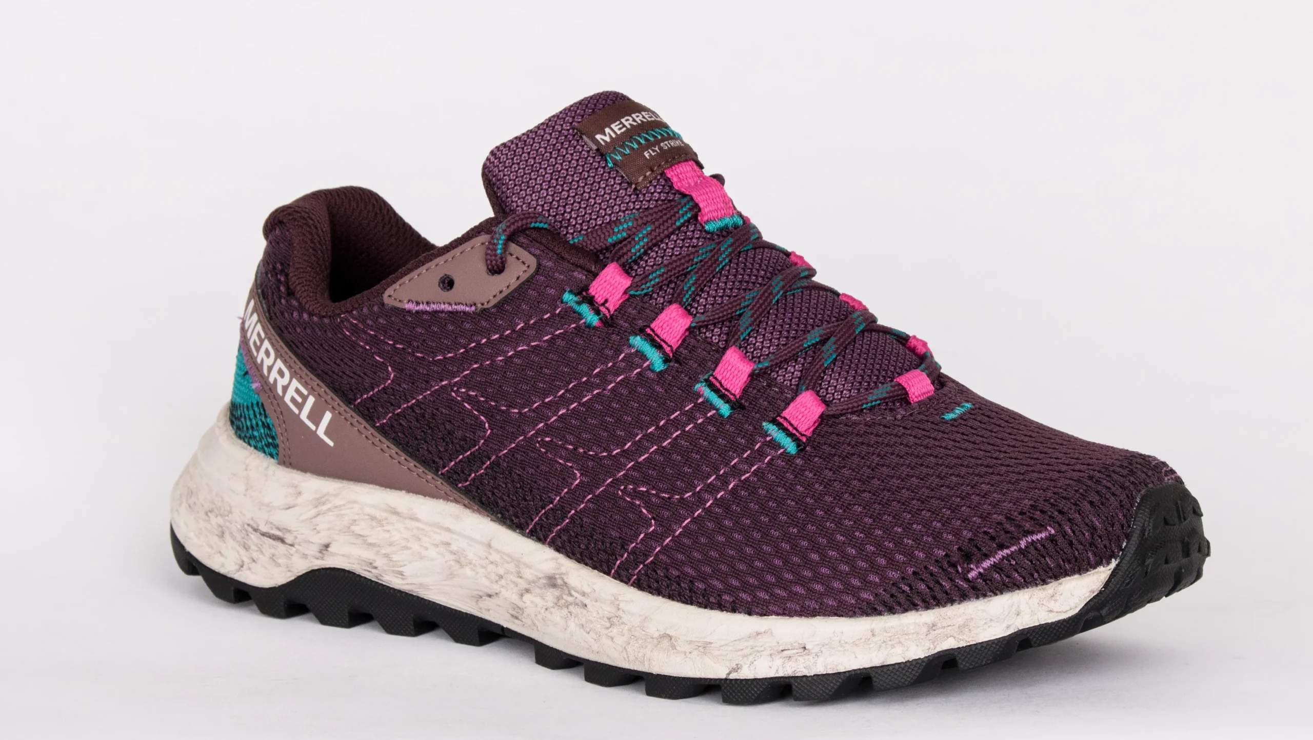 FLY STRIKE – Image 8