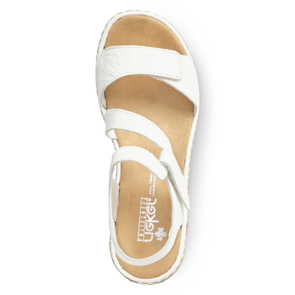 659C7-80 – Image 6