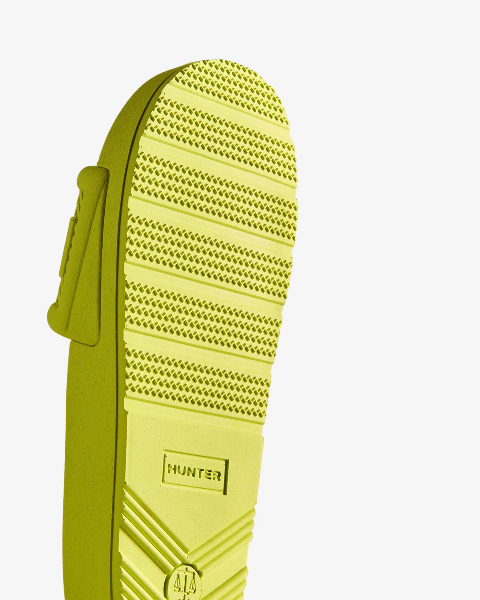 BLOOM ALGAE – Image 5