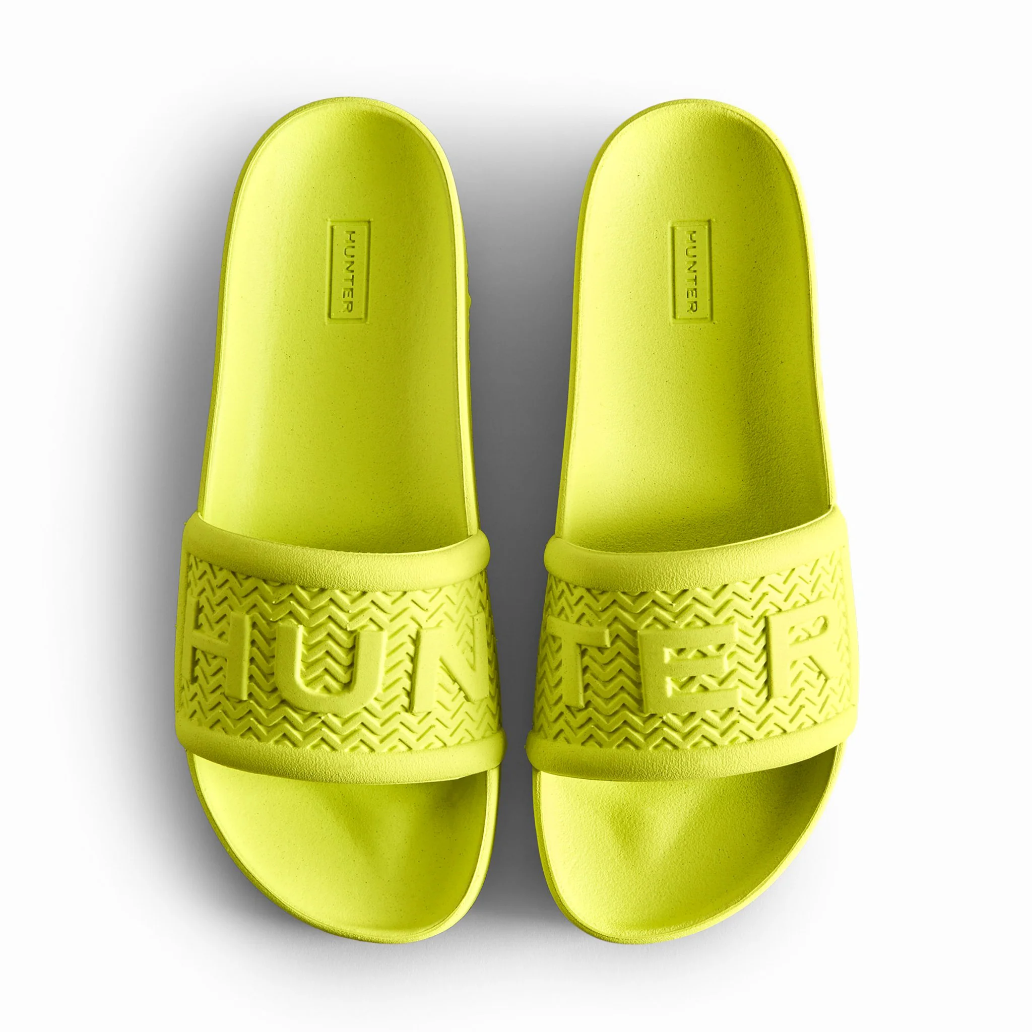 BLOOM ALGAE – Image 6