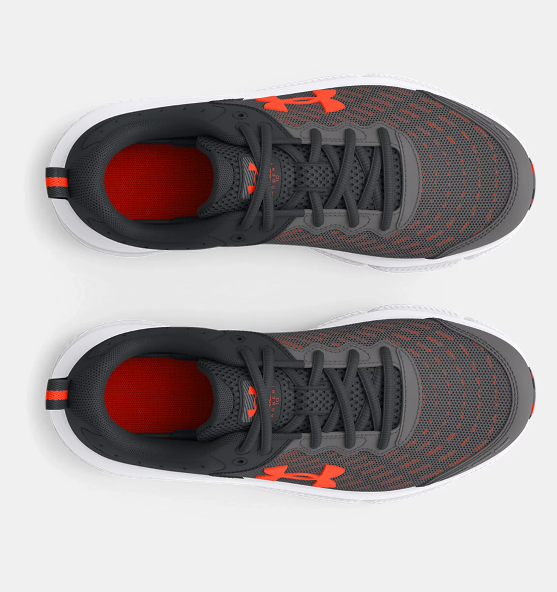 BPS ASSERT 10AC – Image 5