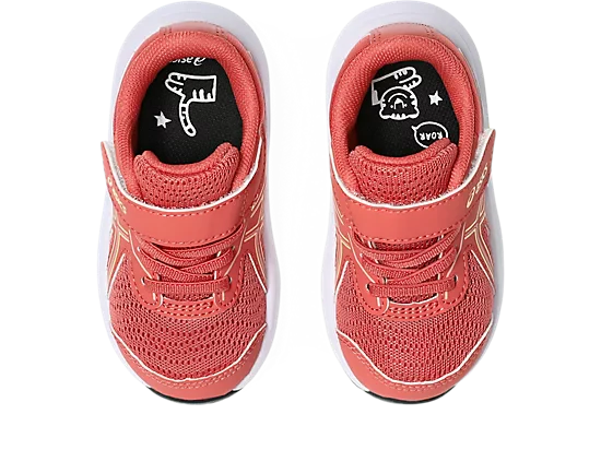 CONTEND 9 TS – Image 6