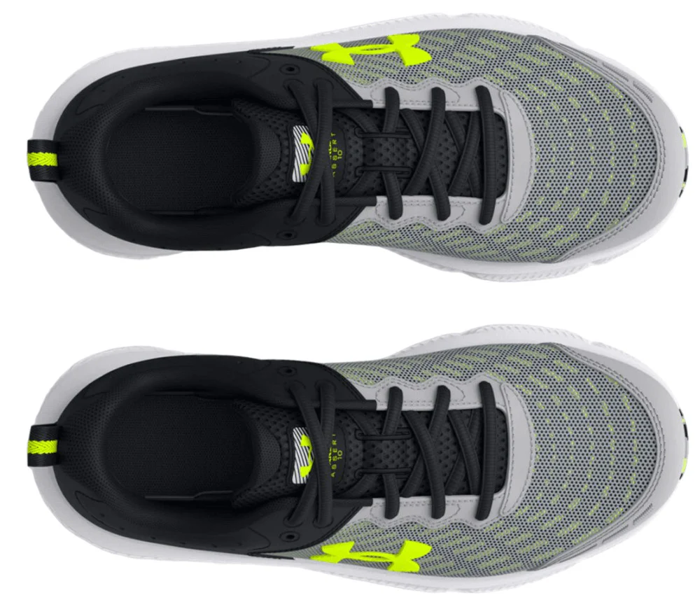 BGS ASSERT 10 – Image 5