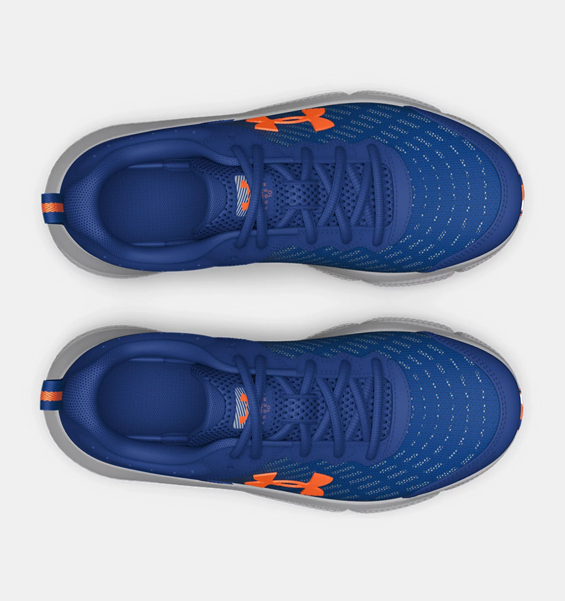 ASSERT 10 – Image 5