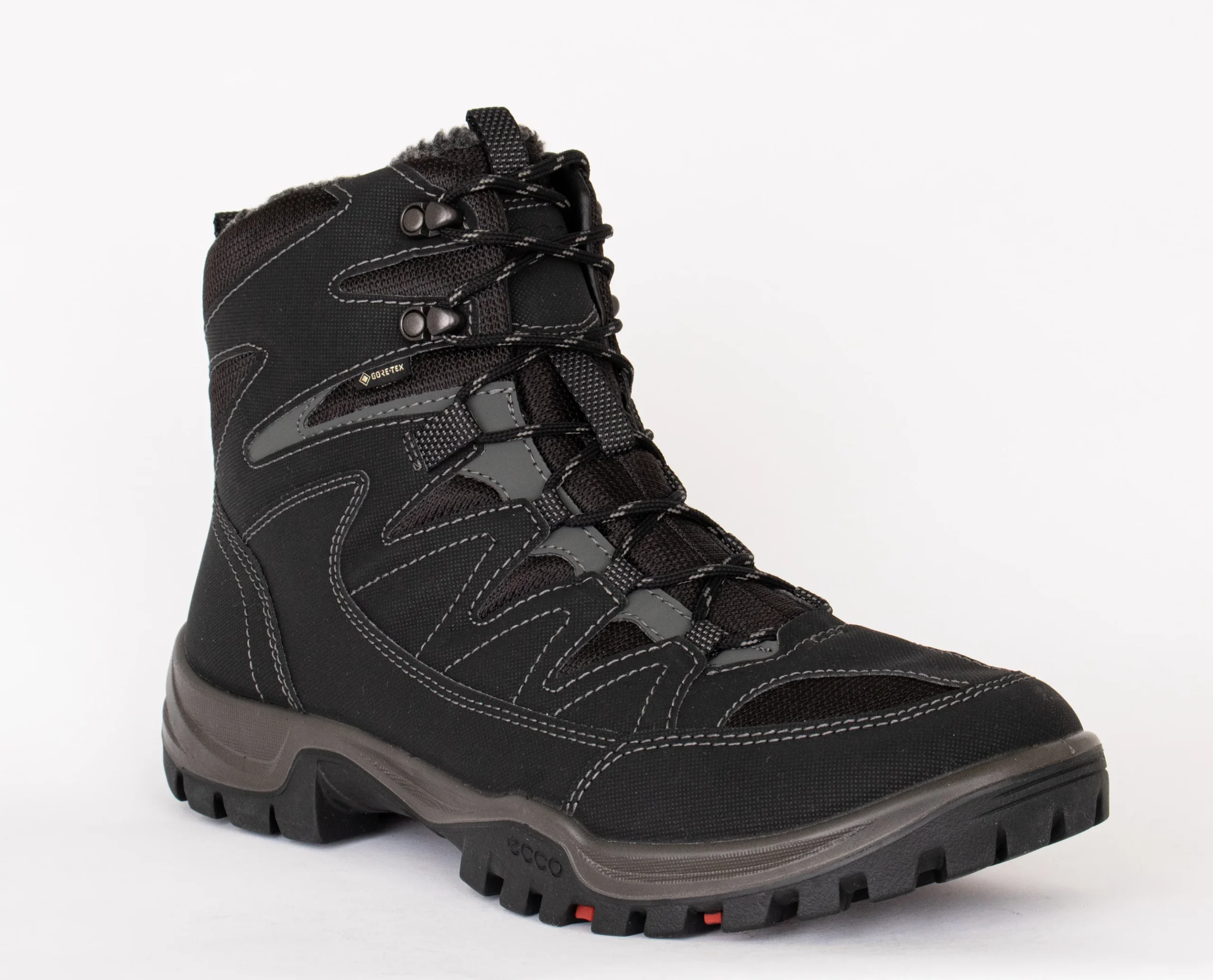 XPEDITION lll – Image 4