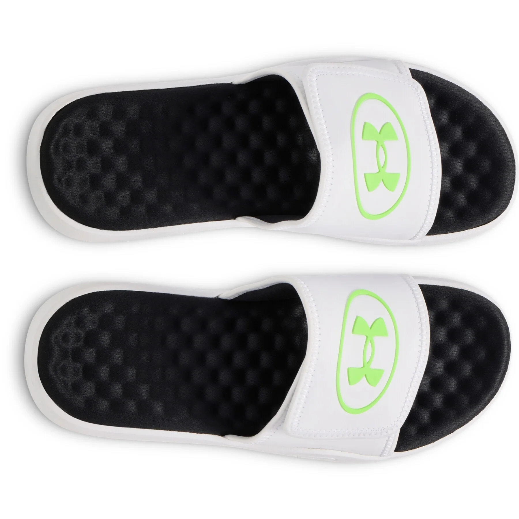 Ignite Pro 8 SL – Image 4